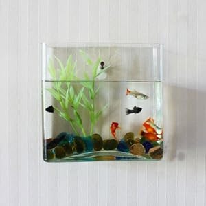 Wall Mount Hanging Beta Fish Bubble Aquarium Bowl Tank (Square) by KAZE HOME