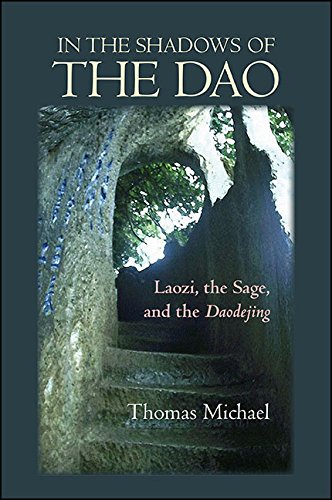 In the Shadows of the Dao: Laozi, the Sage, and the Daodejing (SUNY series in Chinese Philosophy and Culture)