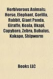 Herbivorous Animals: Horse, Elephant, Gorilla, Rabbit, Giant Panda, Giraffe, Koala, Okapi, Capybara, Zebra, Bubalus, Kakapo, Shipworm-