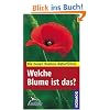 Welche Blume ist das?