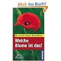 Welche Blume ist das?