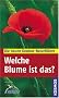 Welche Blume ist das?