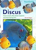 Discus (AquaGuide)