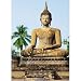 (72x100) Sukhothai Wat Sra Si Temple Buddha Statue Huge Wall Mural Art Print Poster
