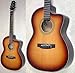 TAKAMINE TDP-05C