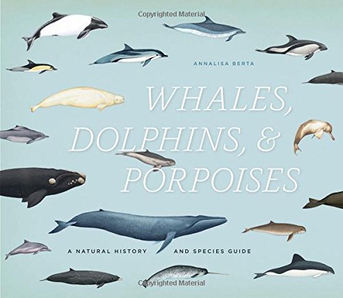 whales dolphins and porpoises a natural history and species guide