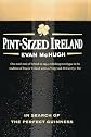 Pint-Sized Ireland: In Search of the Perfect Guinness