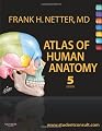 Atlas of Human Anatomy: with Student Consult Access (Netter Basic Science)