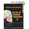 Atlas of Human Anatomy (Netter Basic Science)