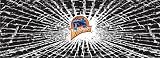 Golden State Warriors Shattered Auto Rear Window Decal