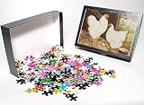 Photo Jigsaw Puzzle of White Wyandotte from Mary Evans