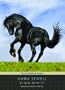Black Beauty, with eBook (Tantor Unabridged Classics)