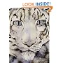 The Snow Leopard