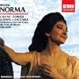 Bellini: Norma Highlights