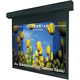100 Lectric I 4:3 Motorized Projection Screen