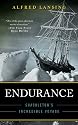 Endurance: Shackleton's Incredible Voyage