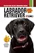 Labrador Retriever (Smart Owner's Guide)