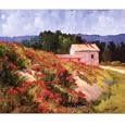 Late Spring Poppies by Brigitte Curt poster print,24 in. x 22 in.