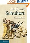 Analyzing Schubert