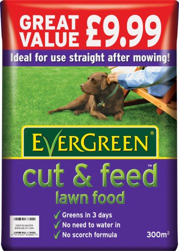 EverGreen Cut & Feed 300 sq m Lawn Food Bag
