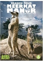 Stream Meerkat Manor Season 4 Movie Online.