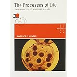 the processes of life an introduction to molecular biology