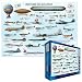 History of Aviation Jigsaw Puzzle 1000pc