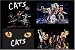 CATS Musical-Play Magnets, Set of Four