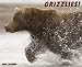 Books : Grizzlies! 2009 Calendar