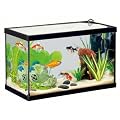 Aquarium �quip� pour poissons d'eau froide - 20 litres - 40x20x25cm - Zolux
