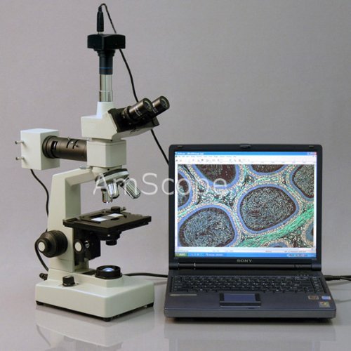 1600x Two Light Metallurgical Microscope