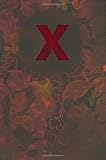 X: The Erotic Treasury