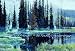 Gone Fishing Wall Mural