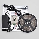 Ledwholesalers 32.8 Ft / 10 M Waterproof IP65 White Background With Wireless Remote Control,2031x2+3317+3219
