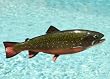 Taxidermy Quality 18" Fiberglass Brook Trout Wall Mount