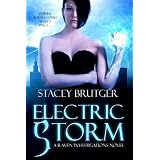 Electric Storm (A Raven Investigations Novel) ~ Stacey Brutger