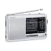 Sony ICF-SW11 FM Stereo/SW/MW/LW 12 Band Receiver - Silver