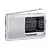 Sony ICF-SW11 FM Stereo/SW/MW/LW 12 Band Receiver - Silver