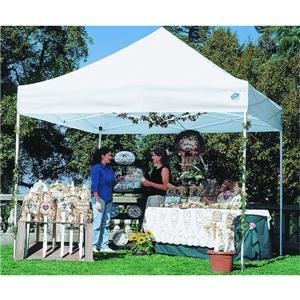 Z-Shade Company EX2S10WHRB06A Express II Canopy by Z-Shade Company