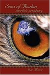 Sons of Avalon: Merlin's Prophecy