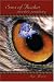 Sons of Avalon: Merlin's Prophecy