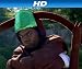 Lights, Camera, Beetles [HD]