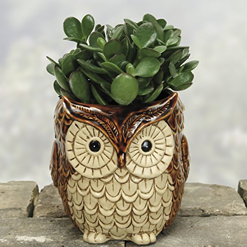 Nature's Garden Owl Planter