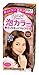 Kao | Liese Prettia AWA Hair Color | Rasphberry Brown