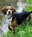 beagle13  - Beagles 2010 Hardcover Weekly Engagement