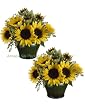 TWO Pre-potted 15" Sunflower/meadow Grass in Ceramic Vase Yellow