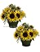 TWO Pre-potted 15" Sunflower/meadow Grass in Ceramic Vase Yellow