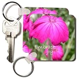 Inspirational Joy - Set Of 2 Key Chains