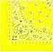 Assorted Military Army Trainmen Paisley Bandanas