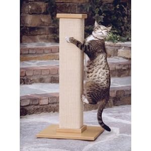 SmartCat Ultimate Scratching Post Sale